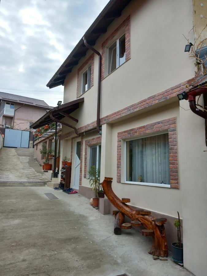 Casa Rariana Hotell Călimăneşti Eksteriør bilde