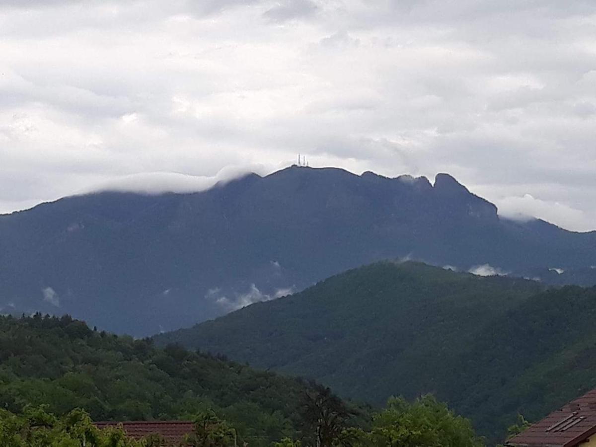 Casa Rariana Hotell Călimăneşti Eksteriør bilde