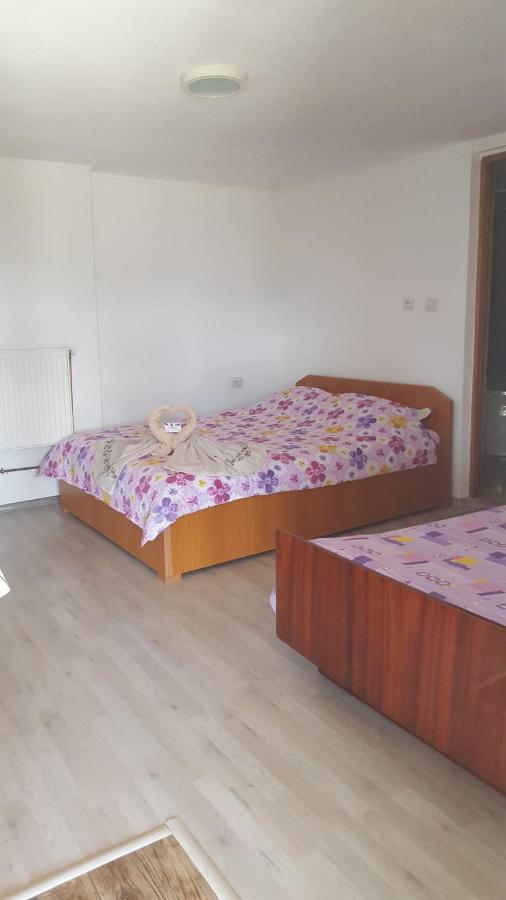 Casa Rariana Hotell Călimăneşti Eksteriør bilde